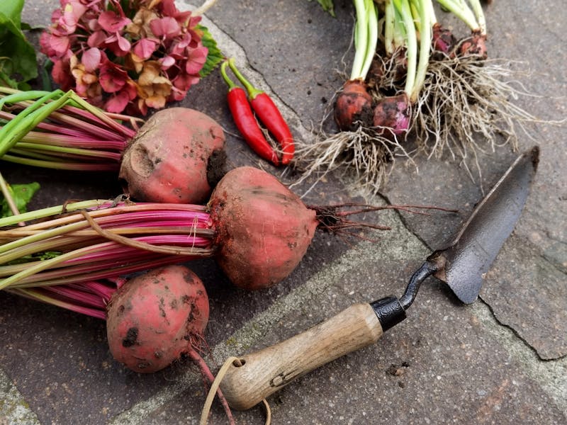 Spicy Italian sausage pizza